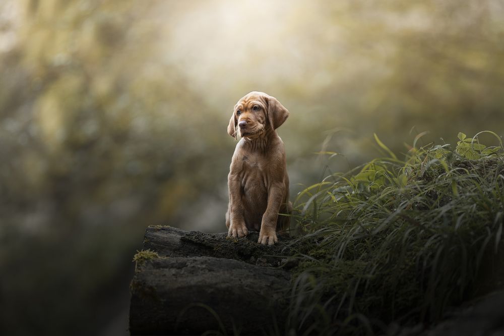 Photograph by karin bruhin