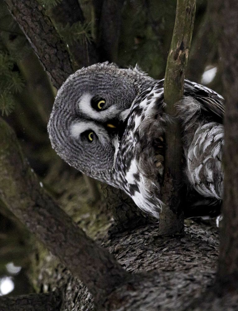 Photograph by Ольга Левакова