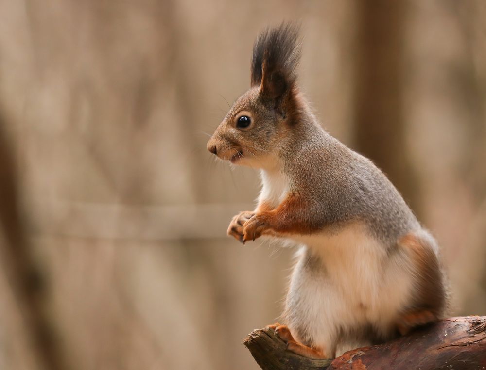 Photograph by Наталья Гайдукевич