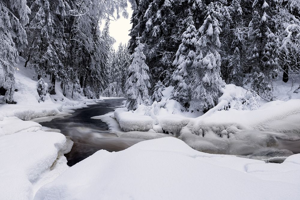 Photograph by Виктория Нарчук