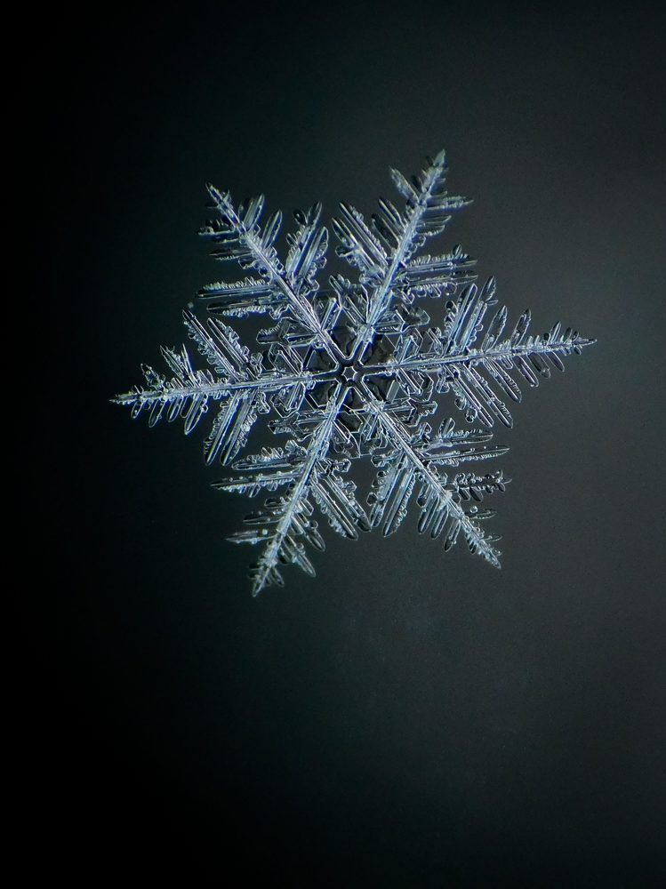 Photograph by Silja Grünberg