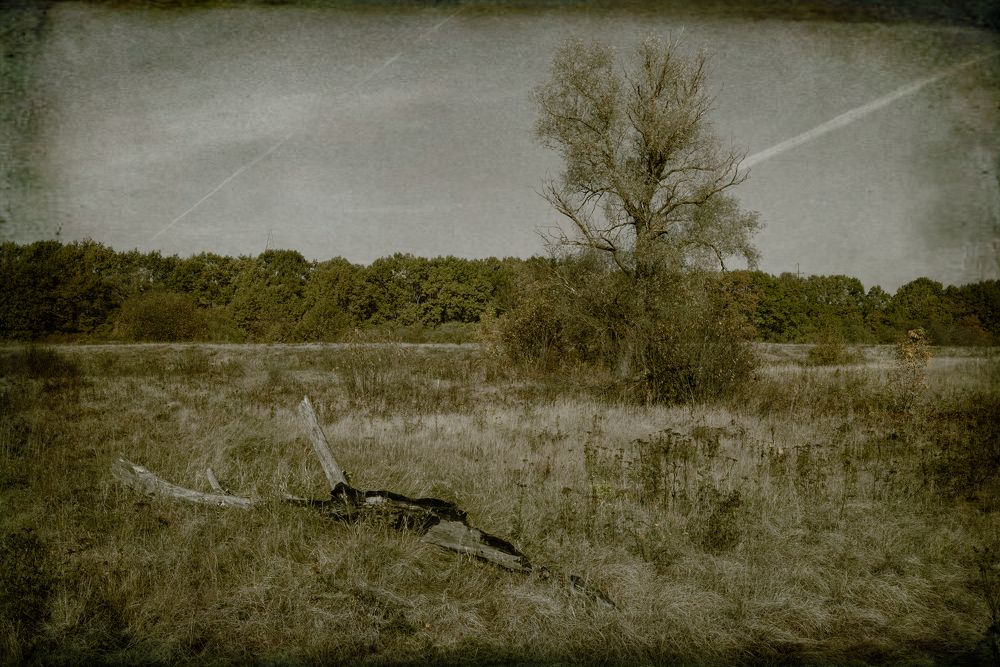 Photograph by Виктор Романов