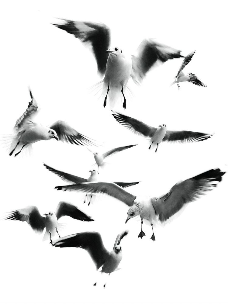 Photograph by Марина Хохрякова