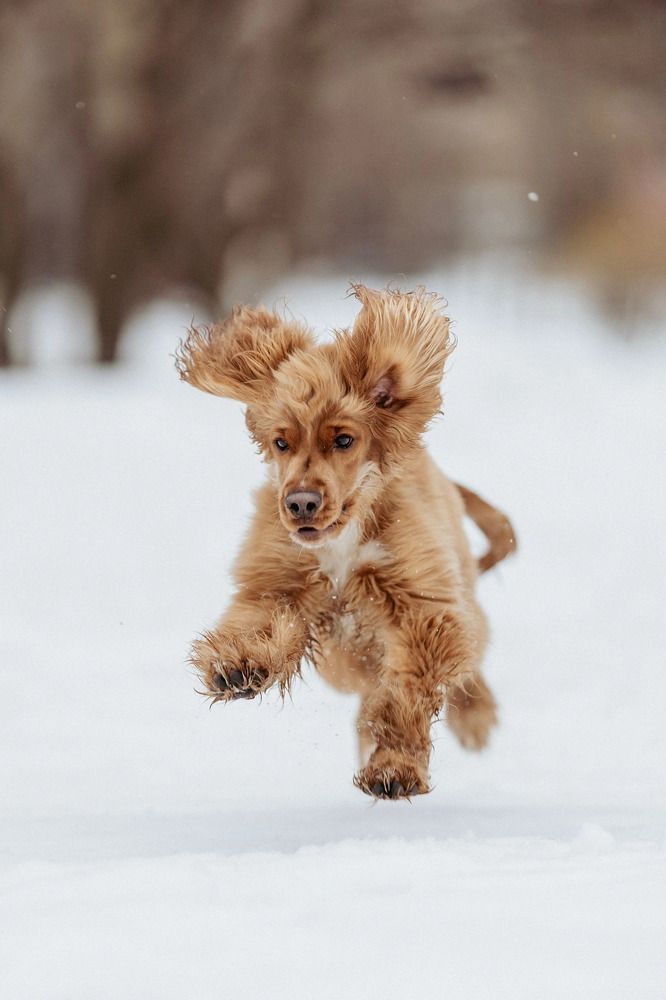 Photograph by Мария Романова