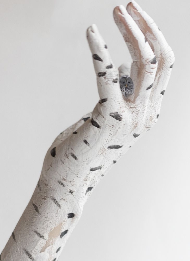 Photograph by Ольга Левакова