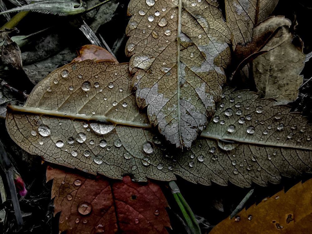 Фотография автора Константин Григорьев