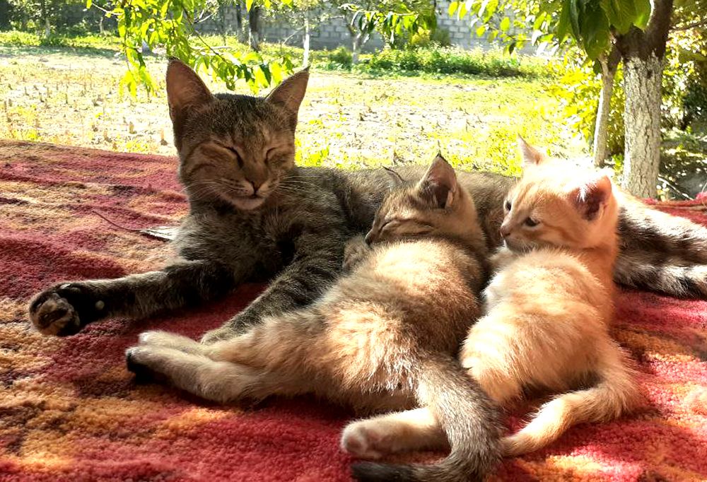 Photograph by Ахроржон Курбонов