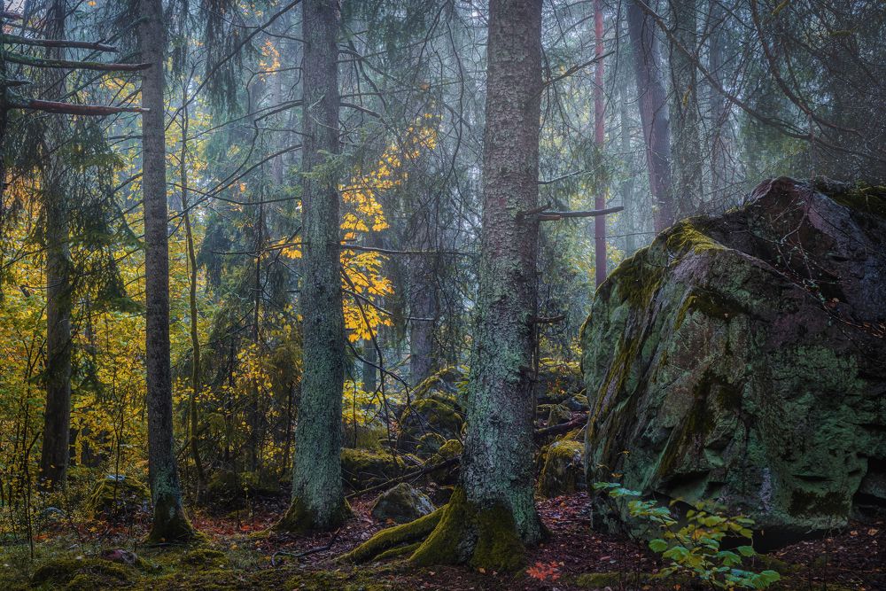 Photograph by Ожерельев Андрей