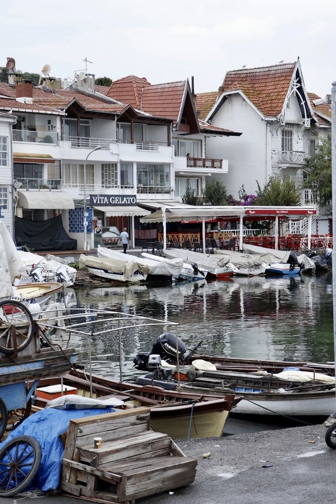 Фотография автора hanieh seyffard