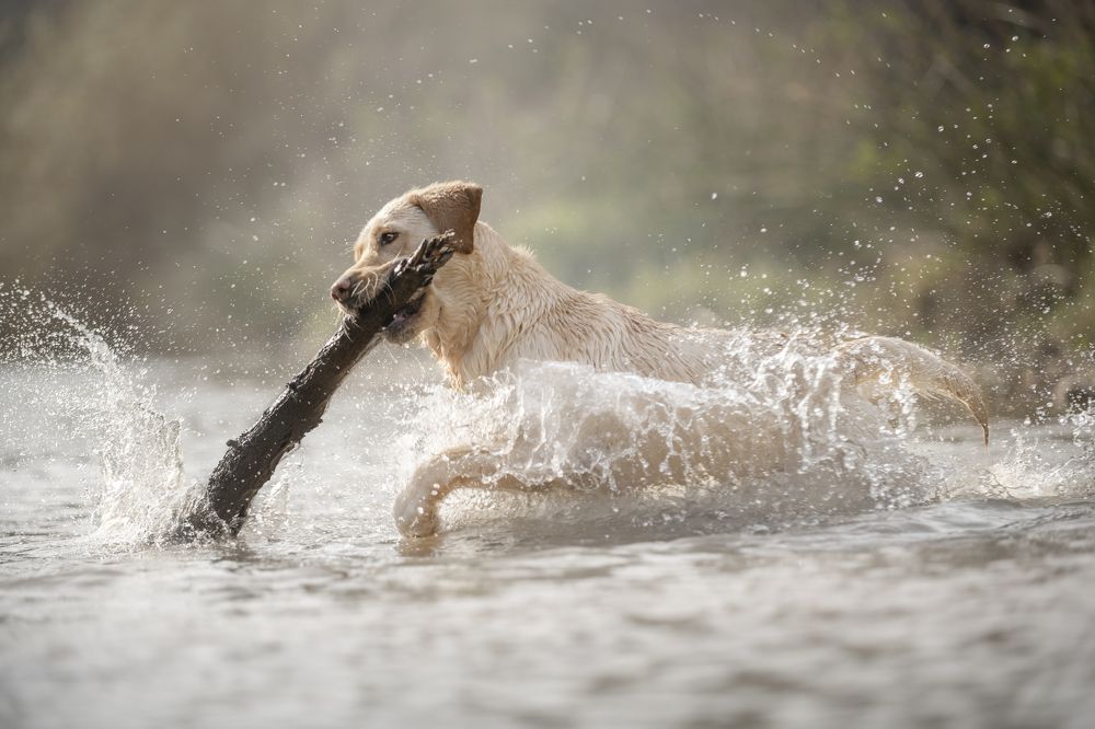 Photograph by Paula Casado Gutierrez