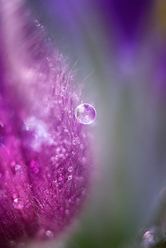 Photograph by Александр Мещеряков