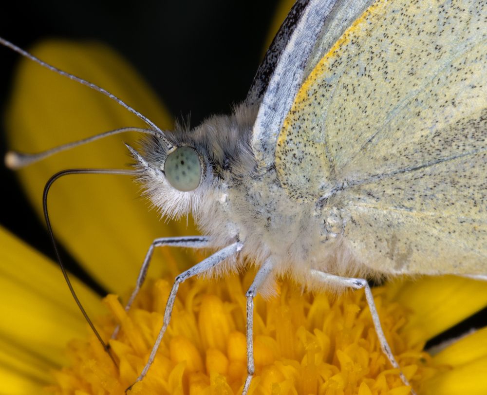 Фотография автора Sercan Özyurt