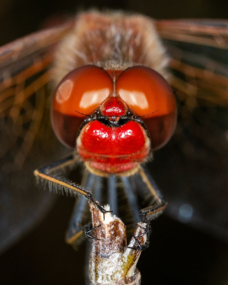 Фотография автора Sercan Özyurt
