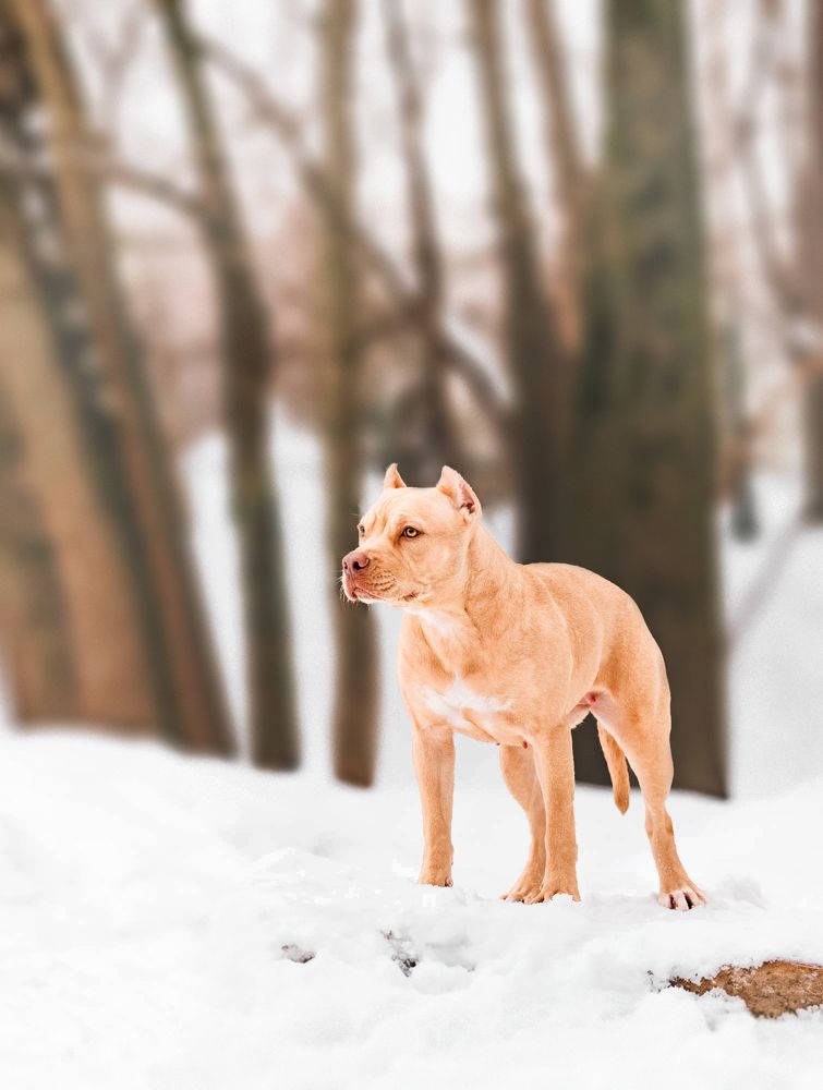 Photograph by Софья Евгеньевна