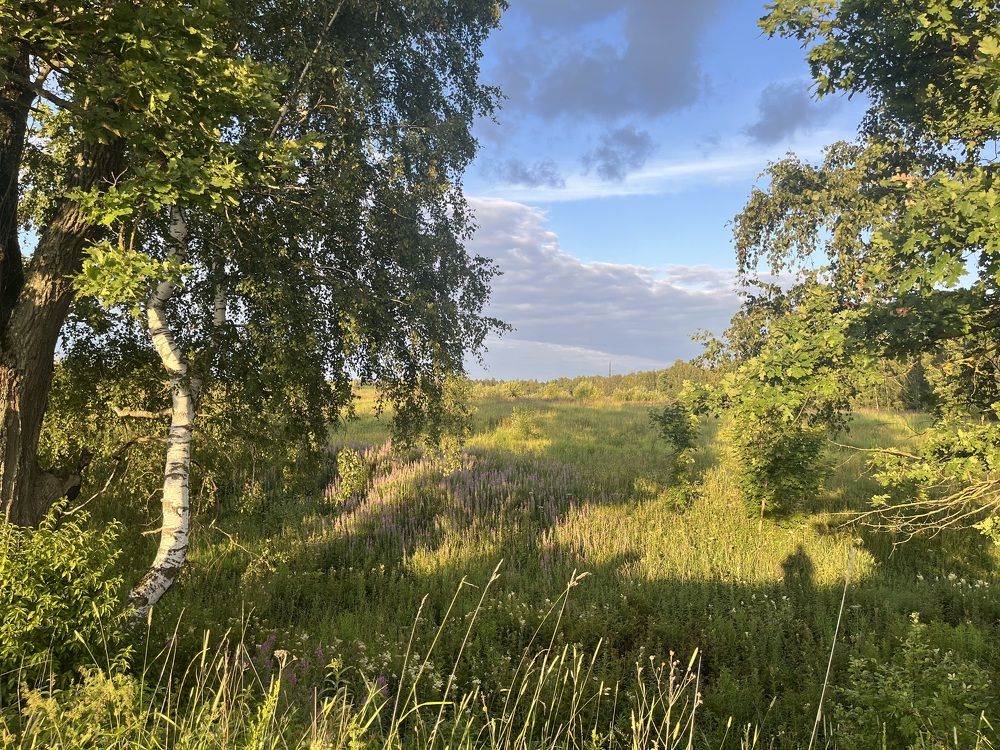 Photograph by Юлия Серова