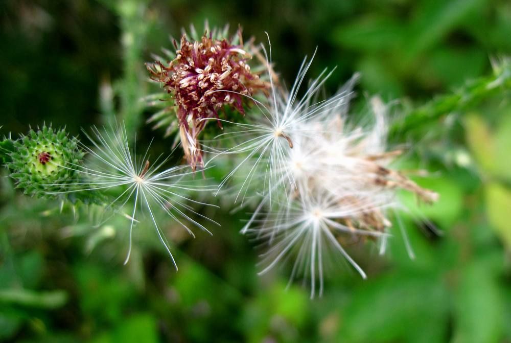 Photograph by Viktoriia Rusanova