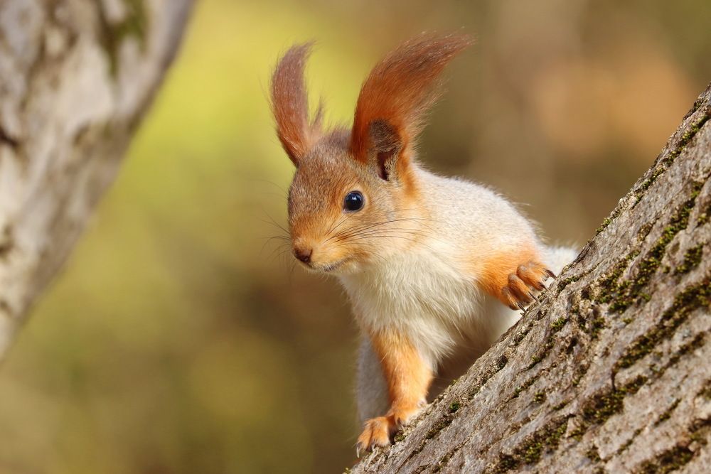 Photograph by Прокопов Григорий