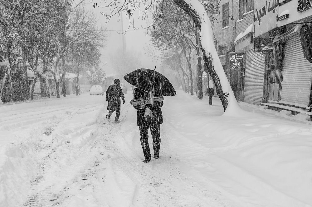 Photograph by Saeed Rezazadeh