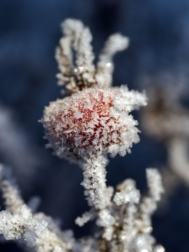 Фотография автора Юрий Кашлевский