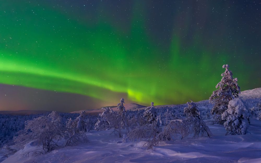 Фотография автора Мика Петров