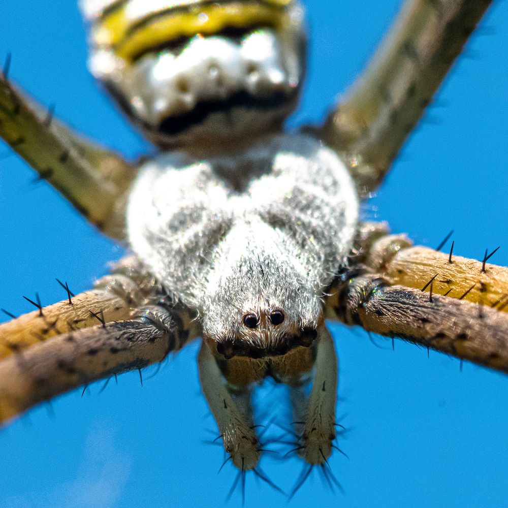 Фотография автора Sercan Özyurt