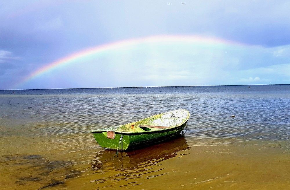 Photograph by Larisa Gella