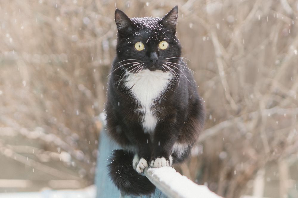 Photograph by Татьяна Нестеренко