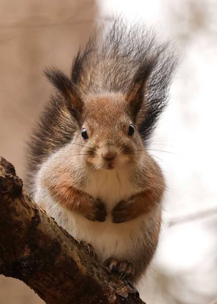 Photograph by Наталья Гайдукевич