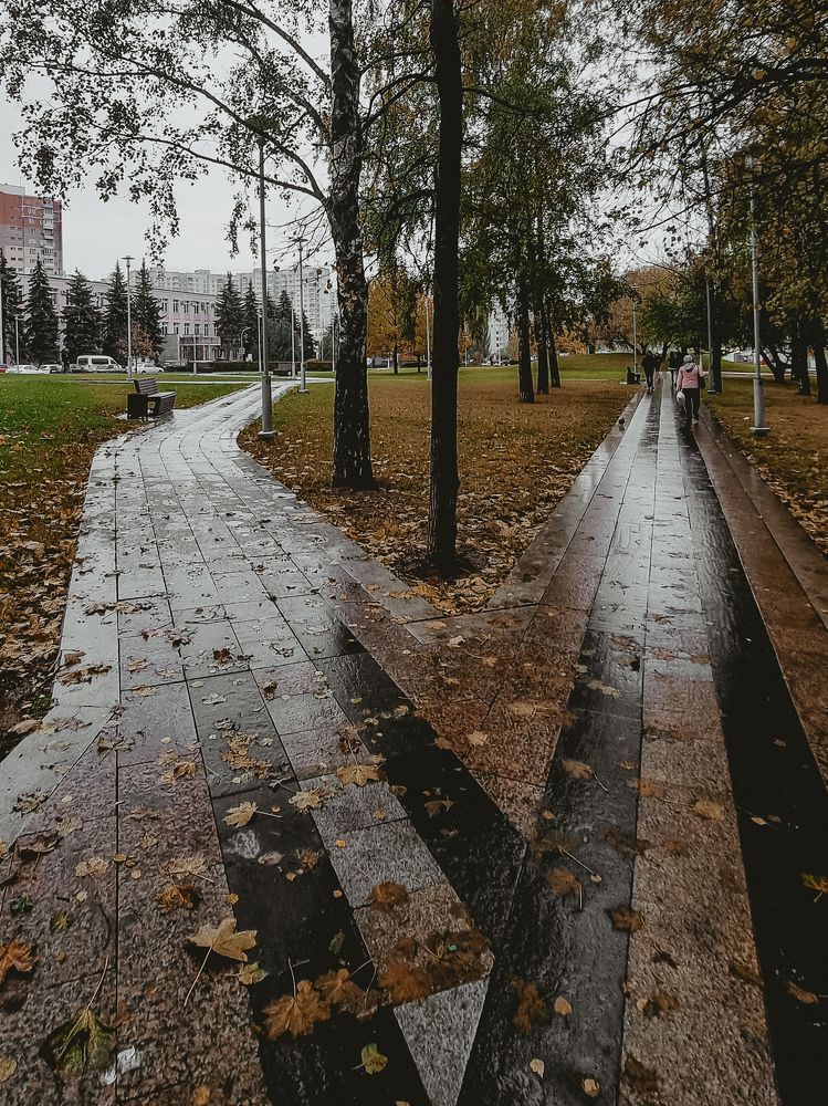 Фотография автора Светлана Алексеева