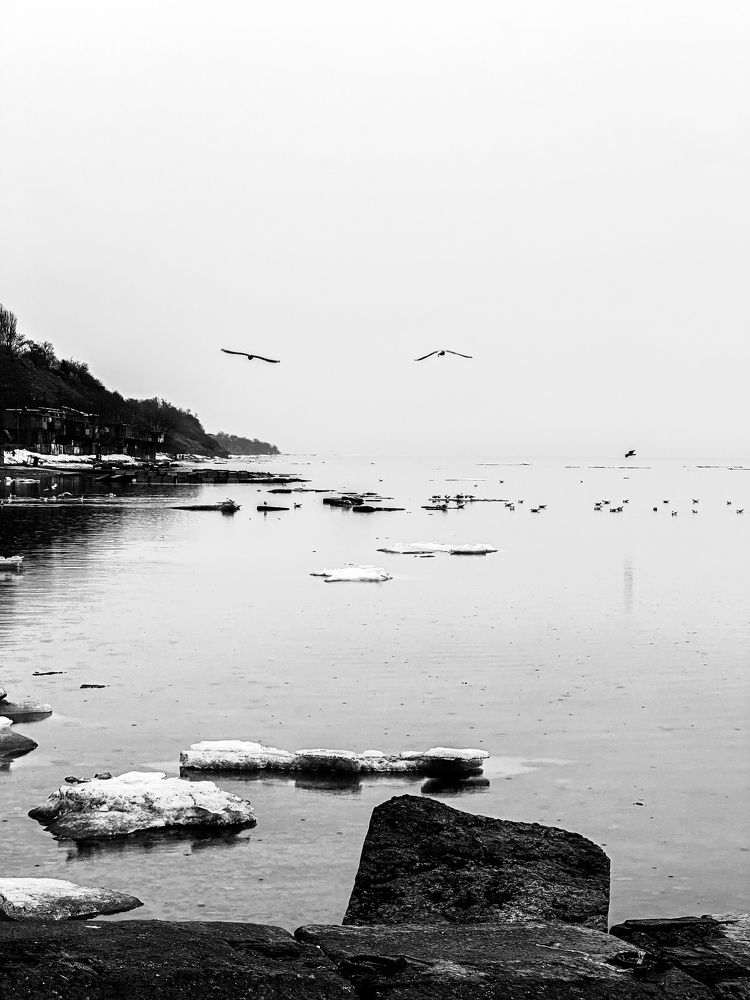 Photograph by Анастасия Волошина