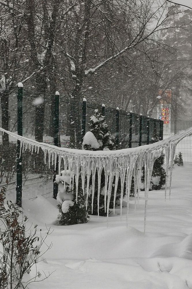 Photograph by Елена Миронова