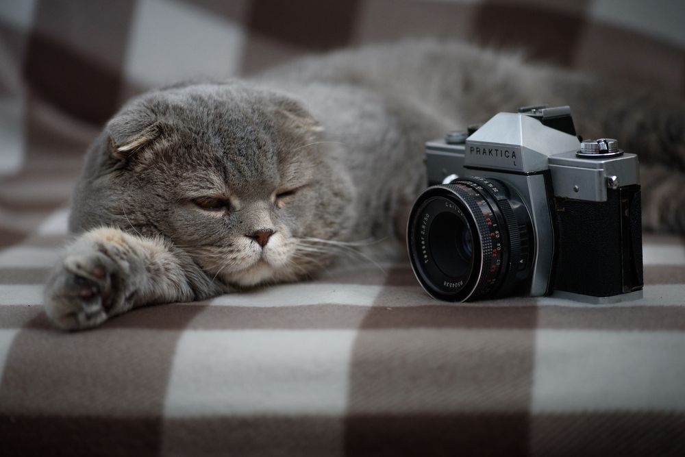 Photograph by Александр Мещеряков