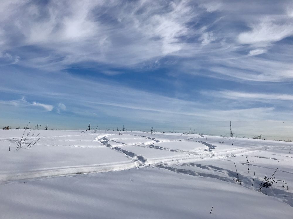 Photograph by Юлия Серова