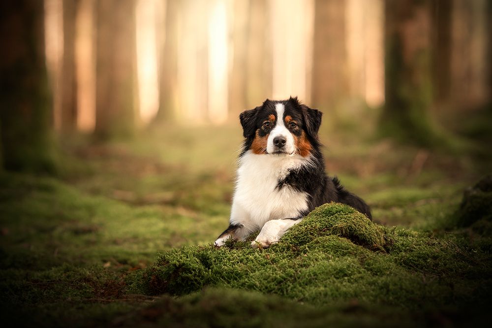 Photograph by Laura Quintanel