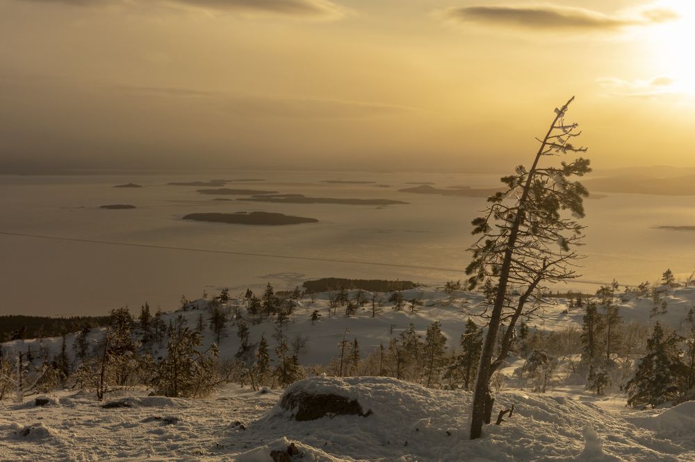 Фотография автора Губань Виктор