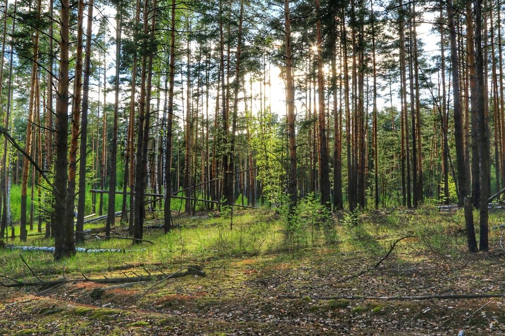 Photograph by Мария Андреева