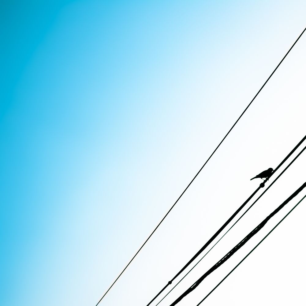 Photograph by Илья Мячин