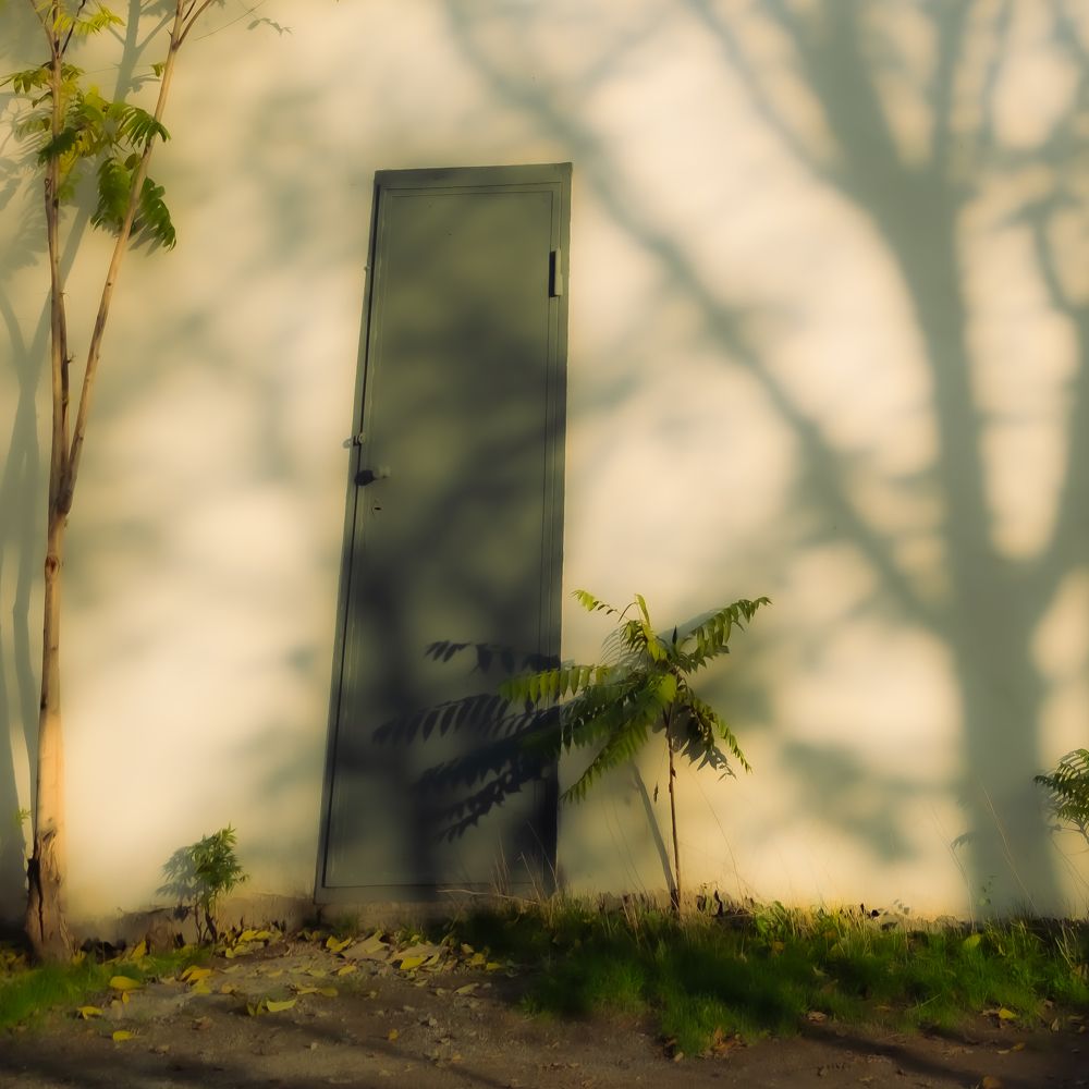 Photograph by Илья Мячин