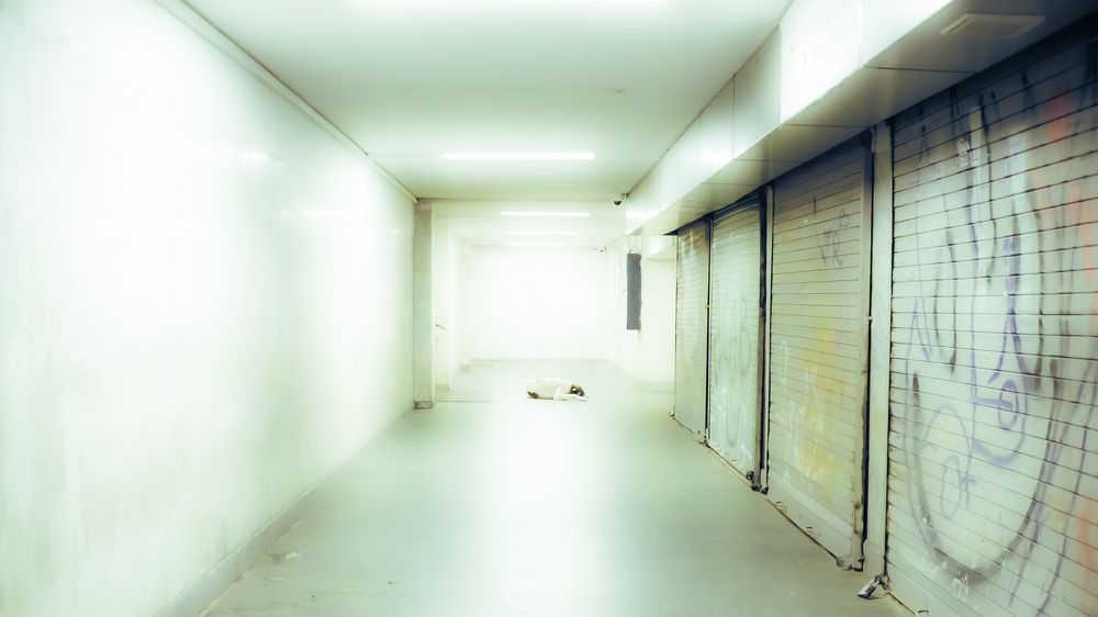 Photograph by Илья Мячин