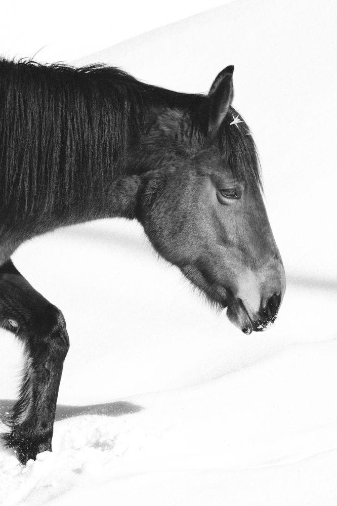 Фотография автора Ольга Трушкова