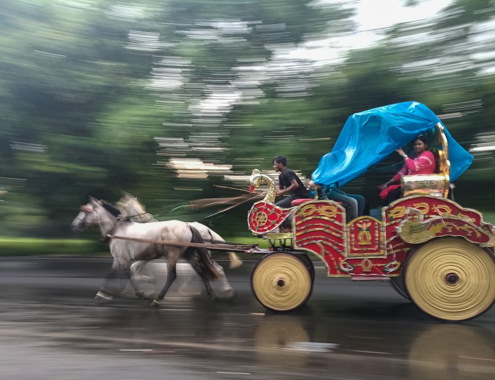 Photograph by Soumya Das