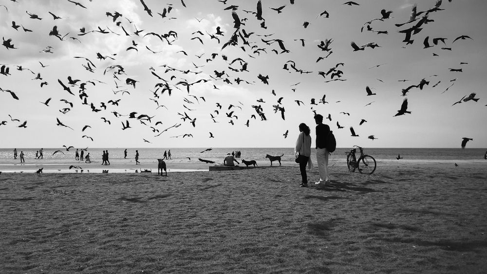 Photograph by Jaseem