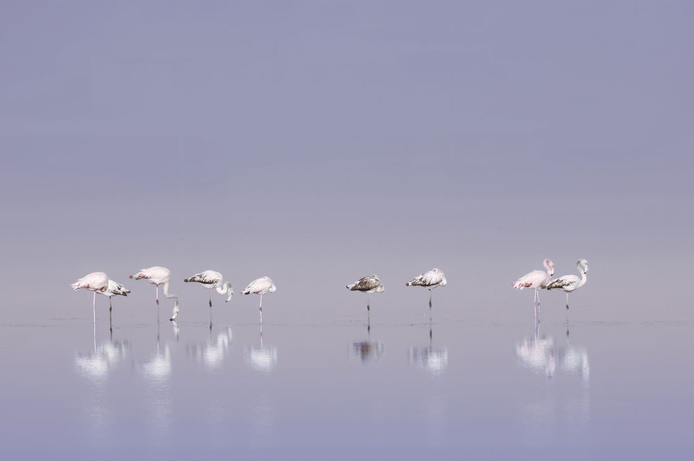 Photograph by Stamen Sotirov