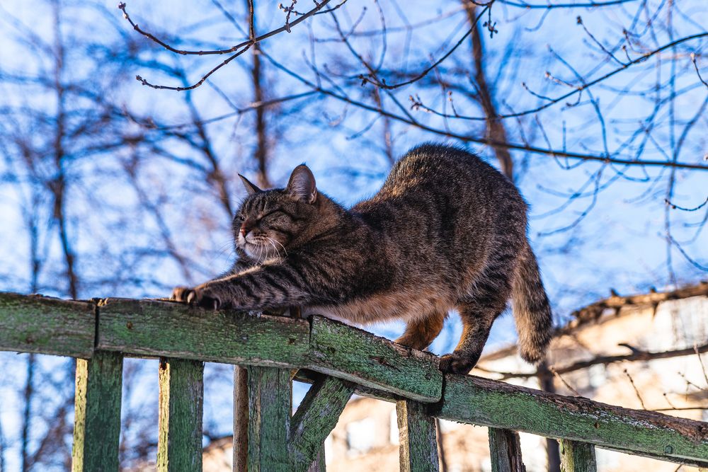 Photograph by Кирилл Шарапов