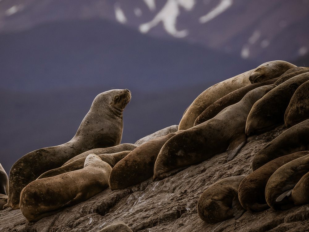 Photograph by Юлия Калугина