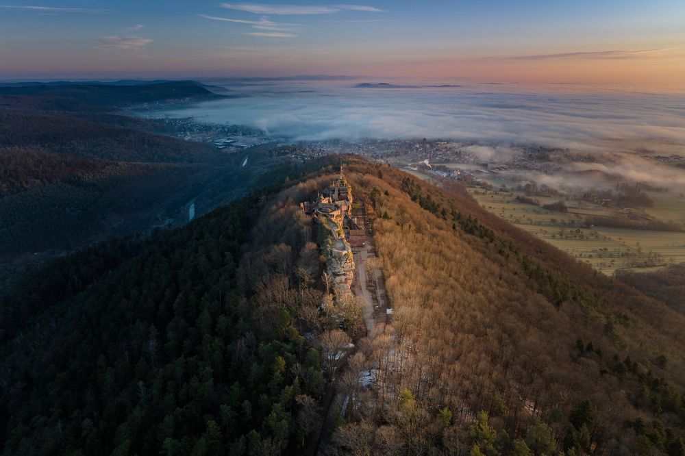 Photograph by Thibault Drutel