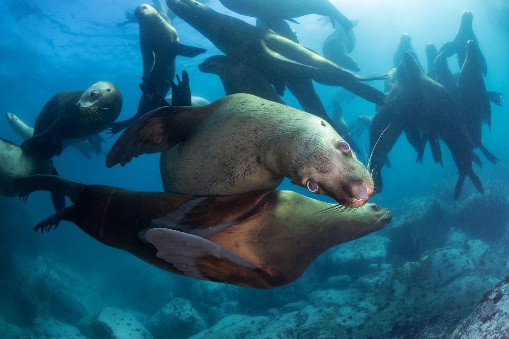 Штрафной, стенка