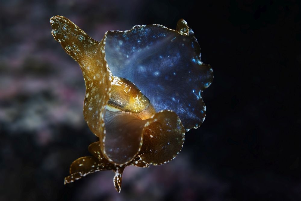 Фотография автора Нарчук Андрей