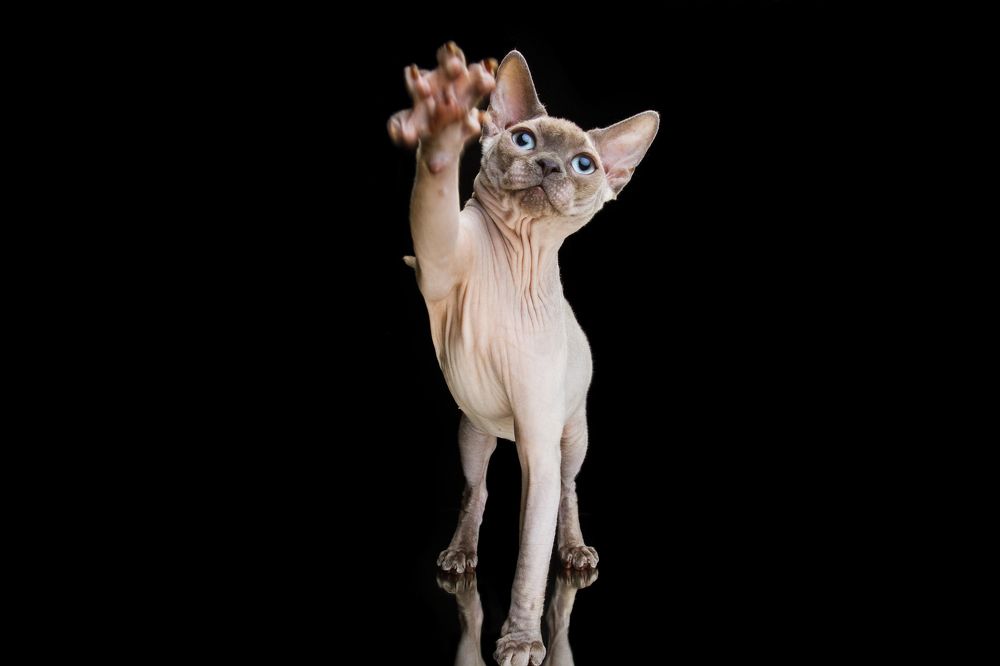 Фотография автора Ляйс Наталья