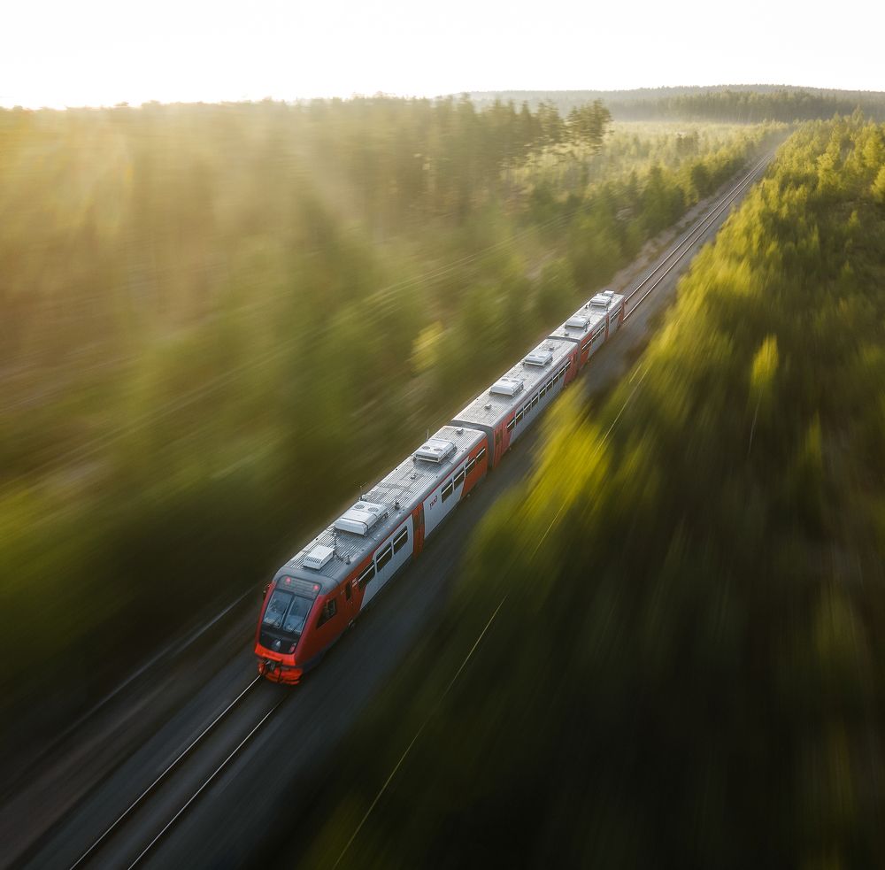 Through the morning fog